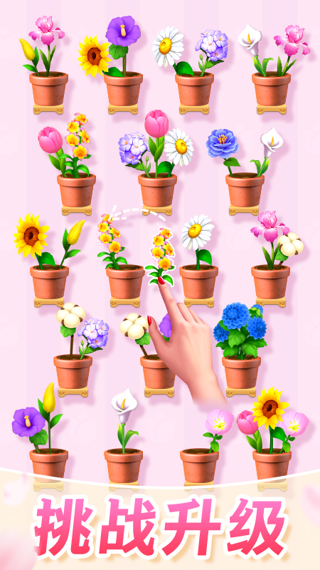 插花消除-图2