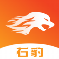右豹是一款可以自己创作视频的服务软件，这款软件有智能AI算法整合用户拍摄的原始素材，自动进行剪辑，节省时间和精力，让短视频制作变得更加高效和简单，同时提升视频内容的质量和吸引力，用户可以通过这款软件制作出有创意的短视频，快来下载试试吧！