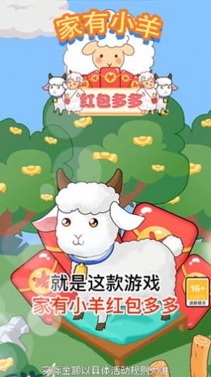 家有小羊