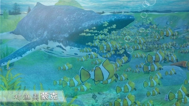 全民养鲨鱼-图2