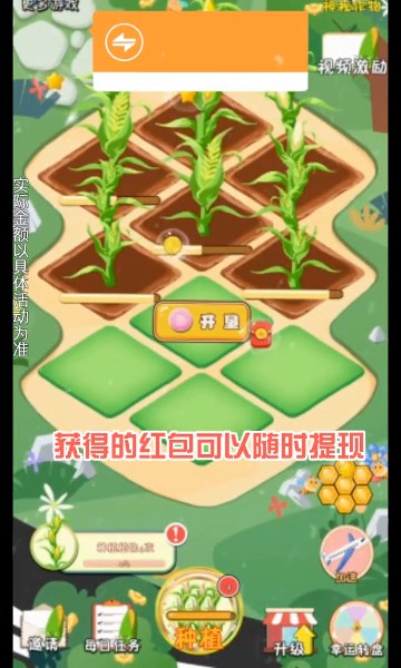 飘香玉米田红包版-图1
