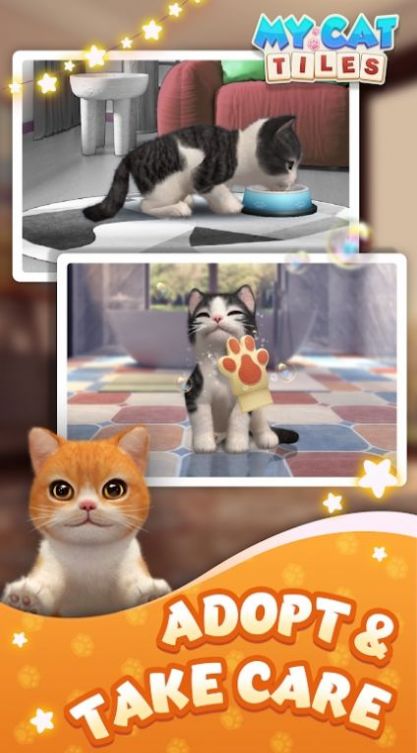 我的猫猫生活-图3