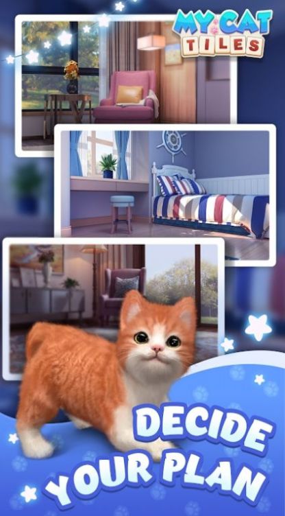 我的猫猫生活-图2