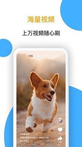 小熊看看-图2