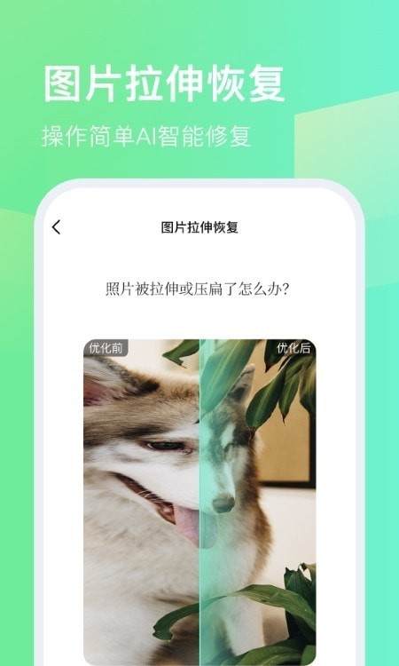 今天拍水印相机-图1