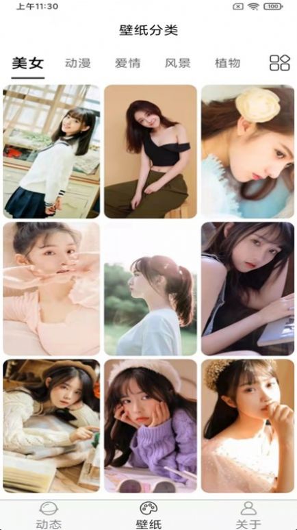 ​飞花动态壁纸-图2