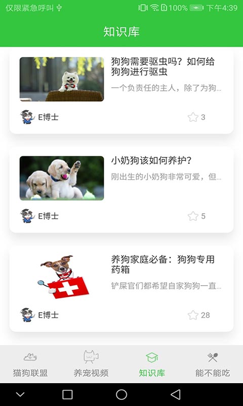 猫咪咪-图2