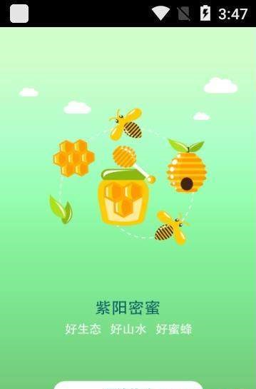 紫阳蜜蜜-图2