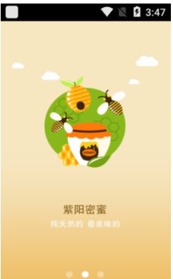 紫阳蜜蜜-图3