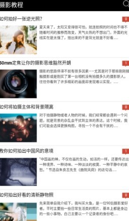 YB摄影-图1