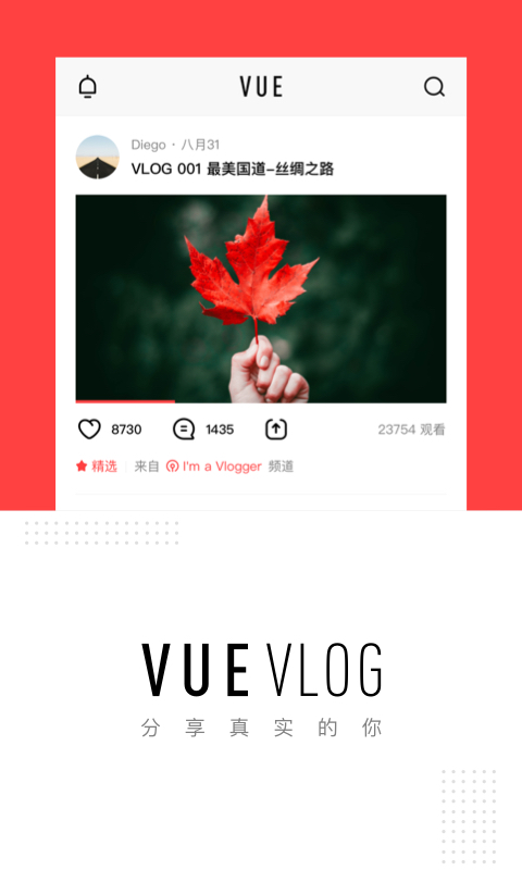 VUE Vlog-图5