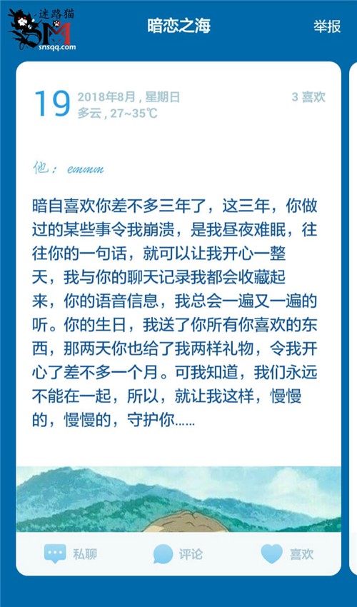 迷路猫-图1