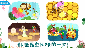 宝宝昆虫世界-图2