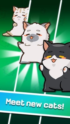 猫主子的日常最新版 猫主子的日常最新版