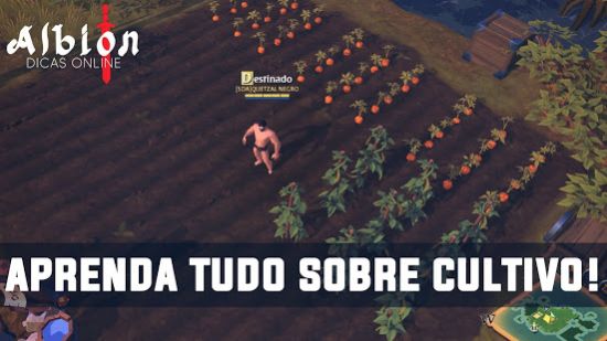 Albion Online中文版-图4