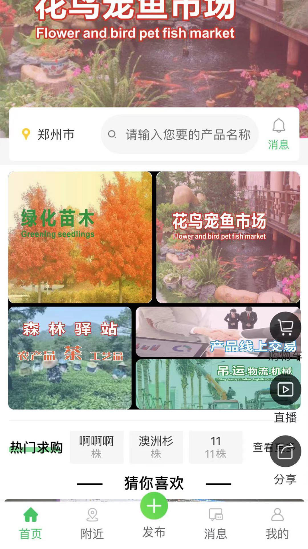 花木森林-图2