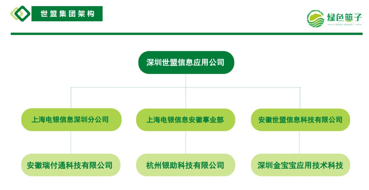 绿色篮子拼团-图1