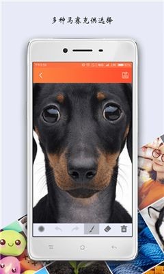 tecogan官网版-图2
