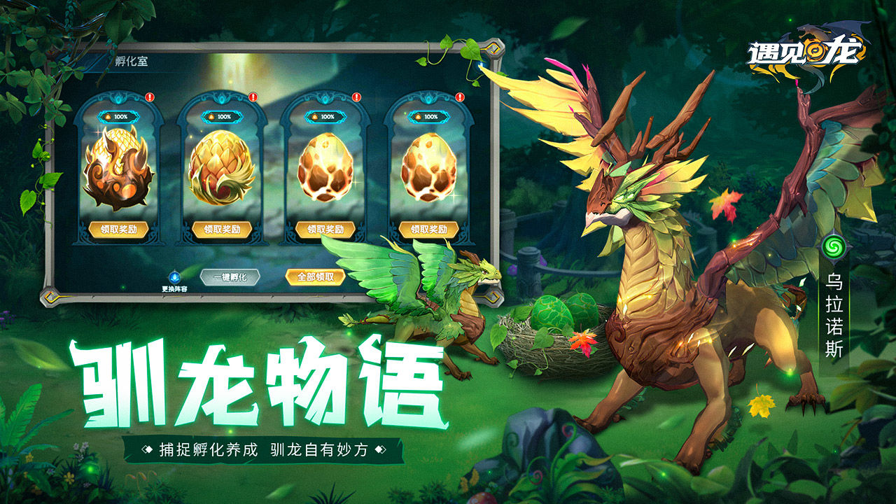 遇见龙-图5