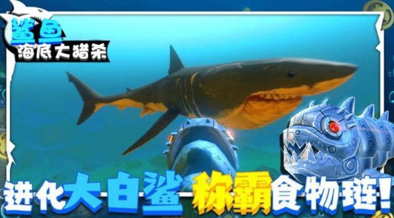 鲨鱼海底大猎杀-图3