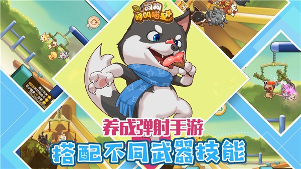 狗狗呼叫喵星-图4
