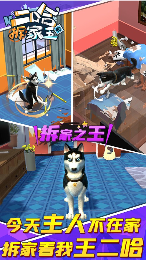 二哈拆家王苹果版