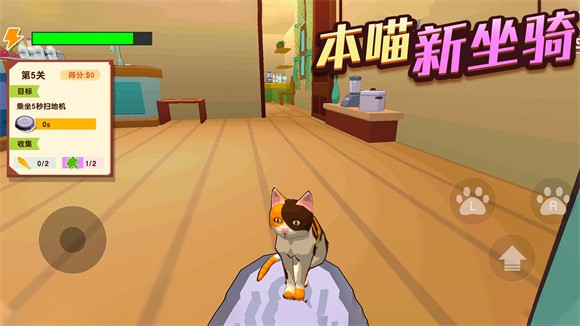 猫咪破坏王-图2