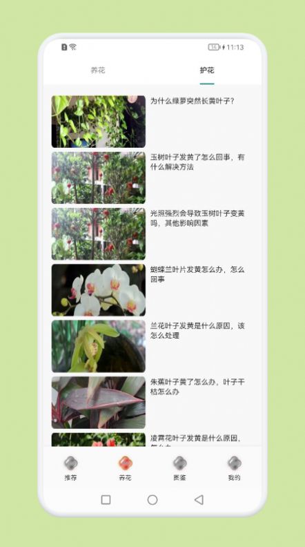 植物识别百科-图1