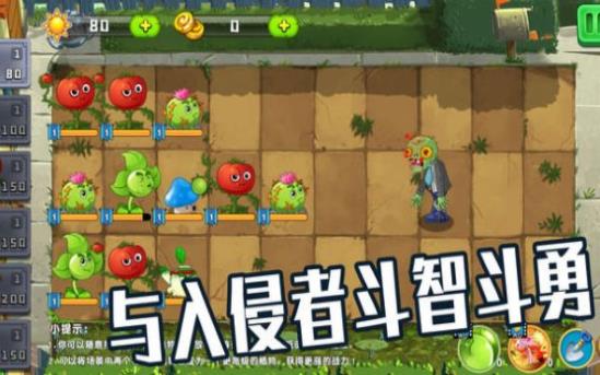 植物僵尸大作战-图2