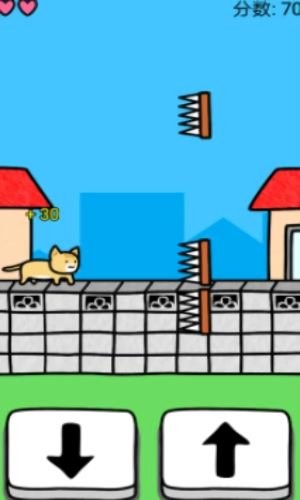 和猫咪一起玩-图3