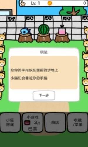和猫咪一起玩.jpg