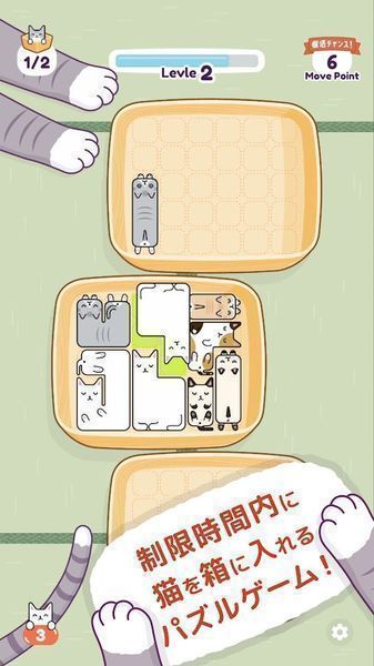 猫猫睡觉-图3