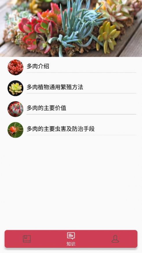 小墨多肉日记-图2