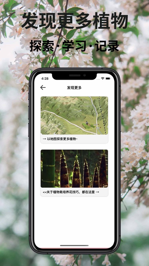 植物识别.jpg