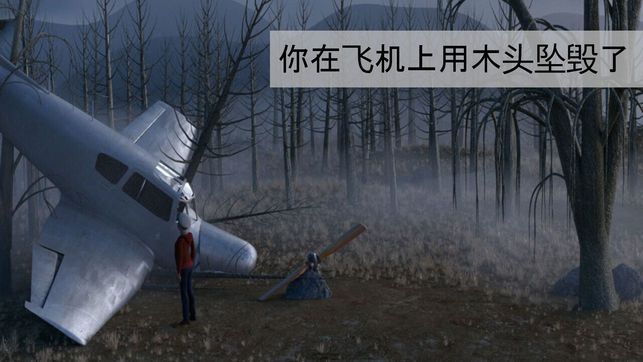 迷失森林2023.jpg