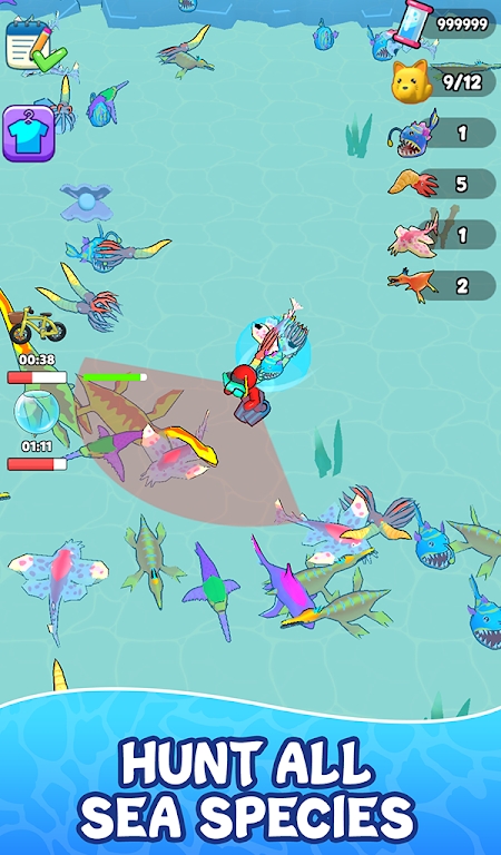 我的迷你水族馆.jpg