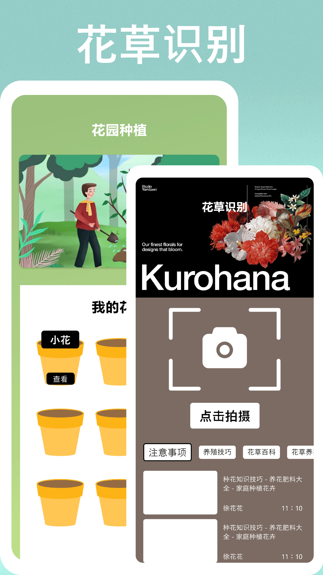 识物高手-图1
