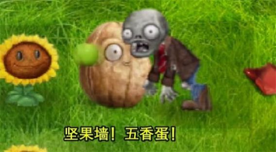 植物大战僵尸现实版-图2