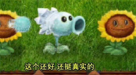 植物大战僵尸现实版-图1