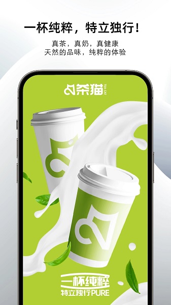 茶猫-图2