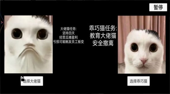 猫猫惊魂夜-图1