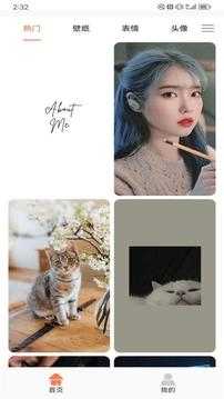 花猫壁纸-图3