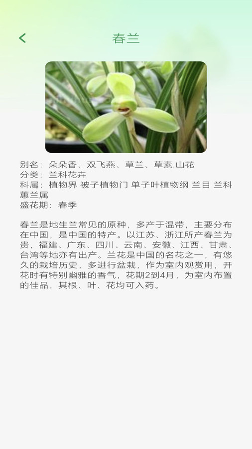 妙看四季-图3