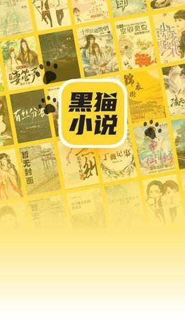 黑猫小说-图2