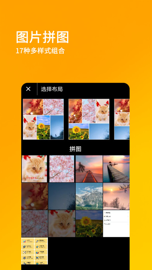 刷圈王-图1