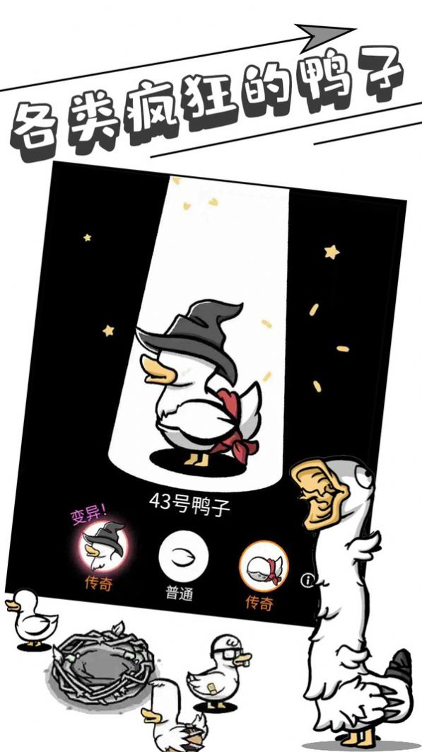 母鸡下蛋-图2