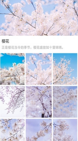 大脚壁纸-图1