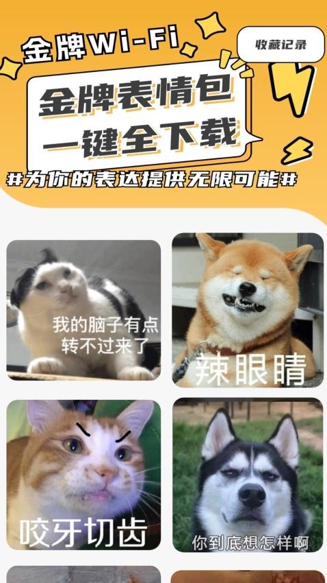金牌WiFi-图1