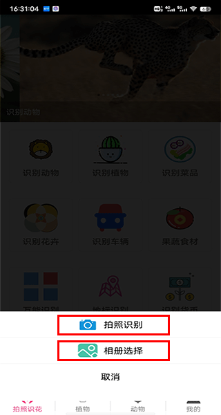 拍照识花神器-图1