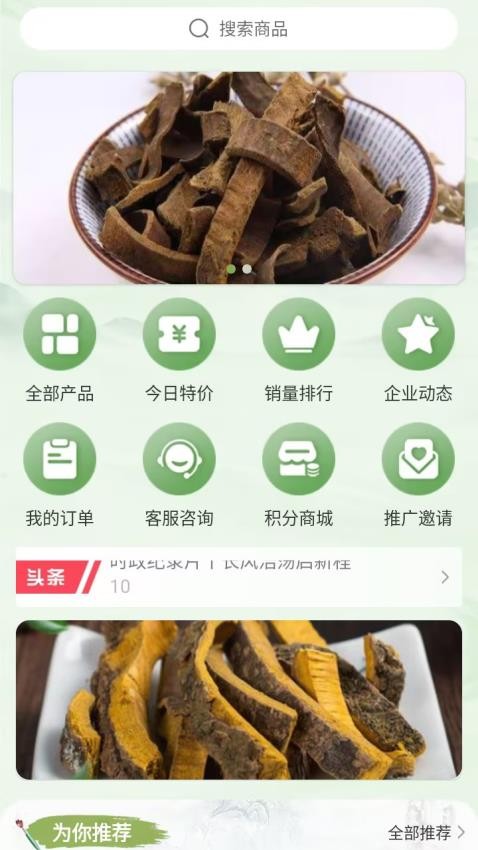白山本苜-图2